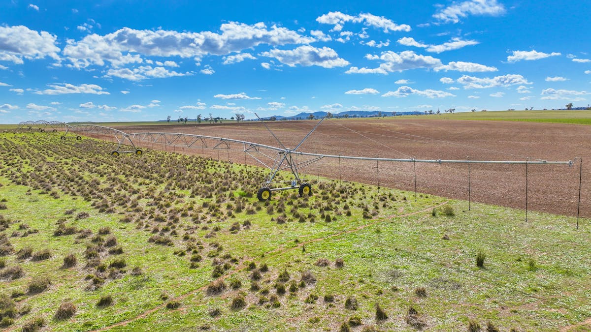 359 Balcarry Lane, Attunga, NSW, 2345 - Image 5