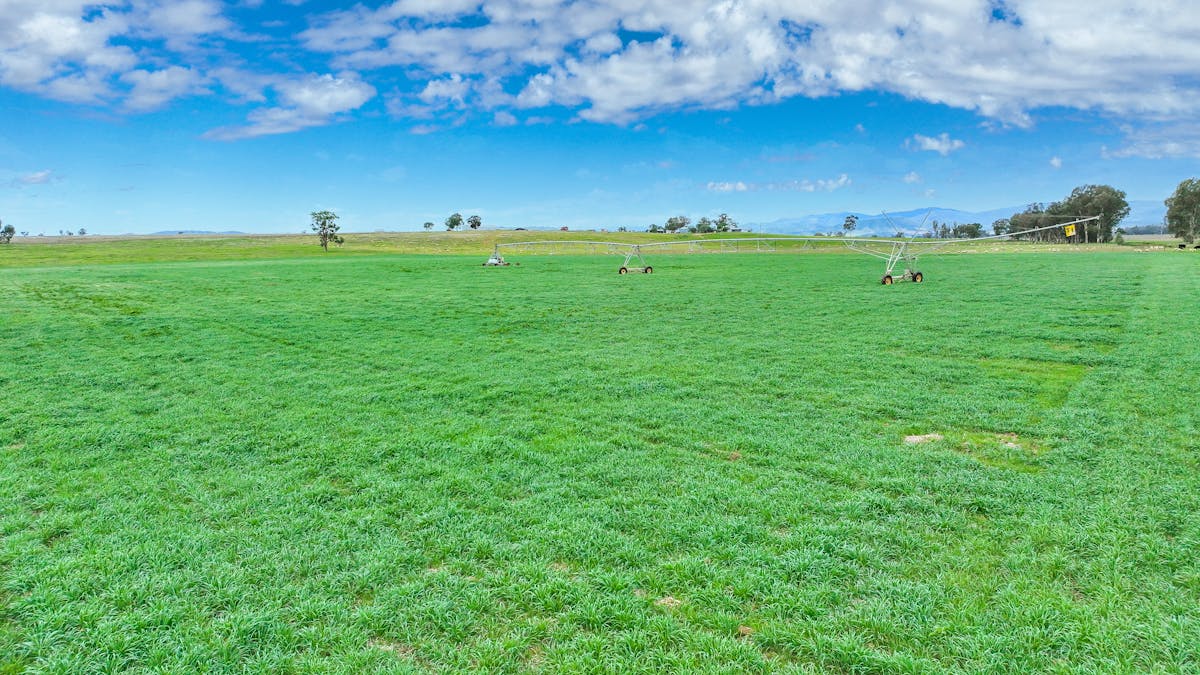 359 Balcarry Lane, Attunga, NSW, 2345 - Image 6