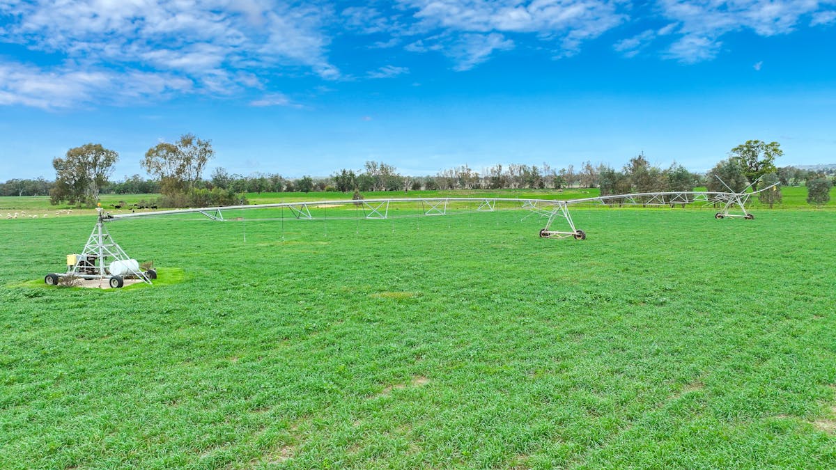 359 Balcarry Lane, Attunga, NSW, 2345 - Image 7