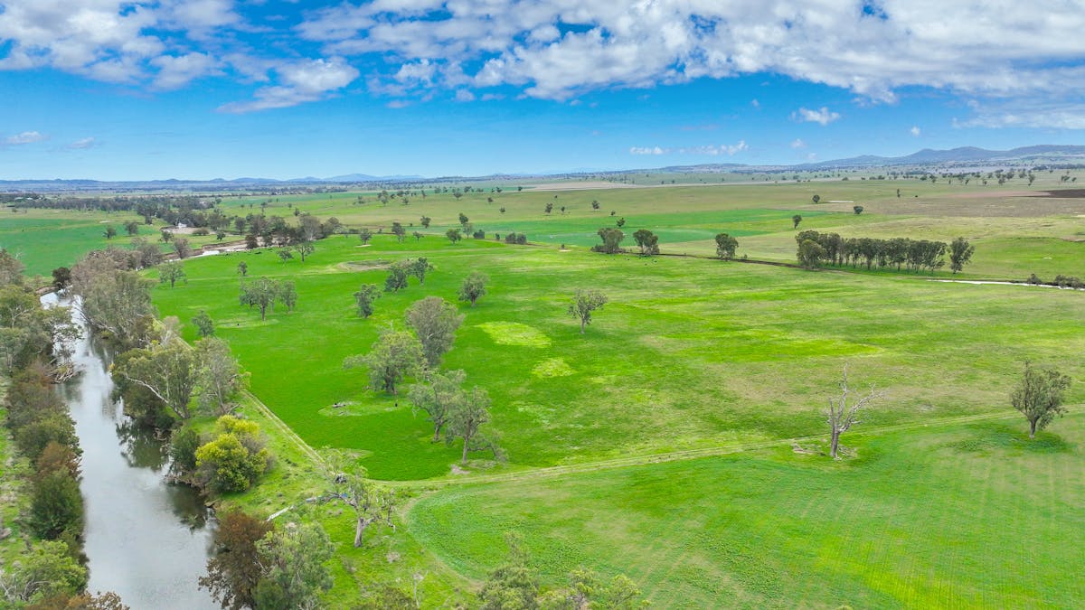 359 Balcarry Lane, Attunga, NSW, 2345 - Image 15