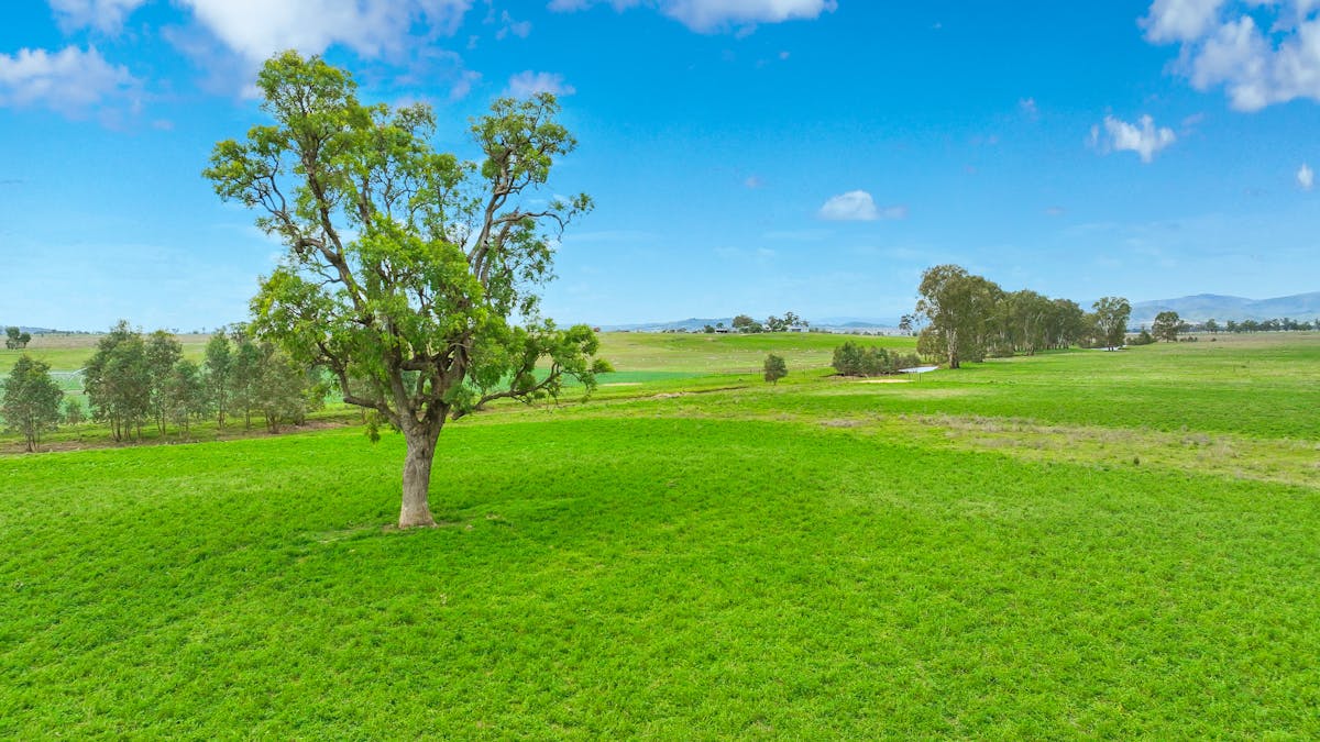 359 Balcarry Lane, Attunga, NSW, 2345 - Image 19