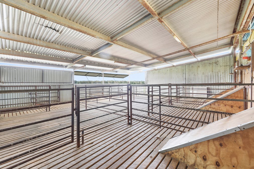 359 Balcarry Lane, Attunga, NSW, 2345 - Image 20
