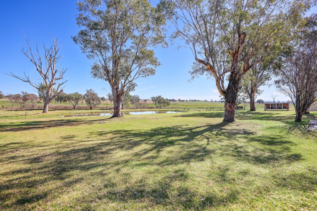 442 Warral Road, Tamworth, NSW, 2340 - Image 14