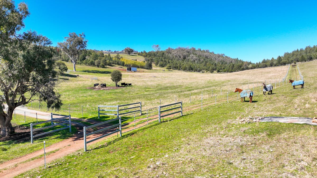 150 Kilmarnock Road, Tamworth, NSW, 2340 - Image 14