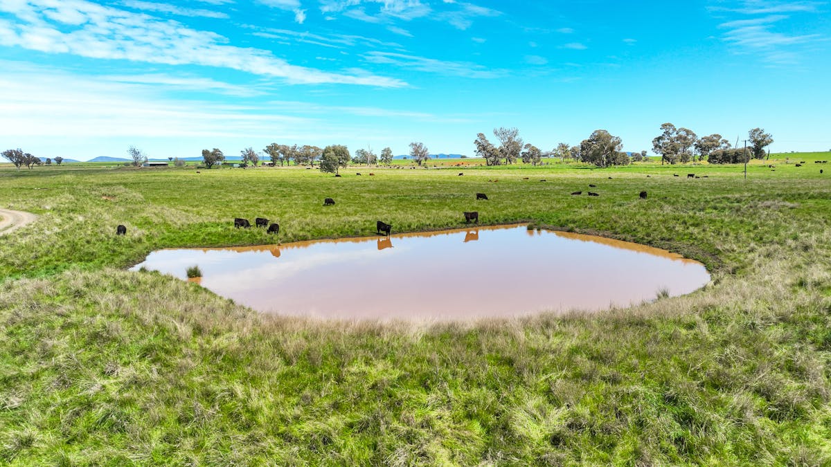 2363 Oxley Highway, Bective, NSW, 2340 - Image 7