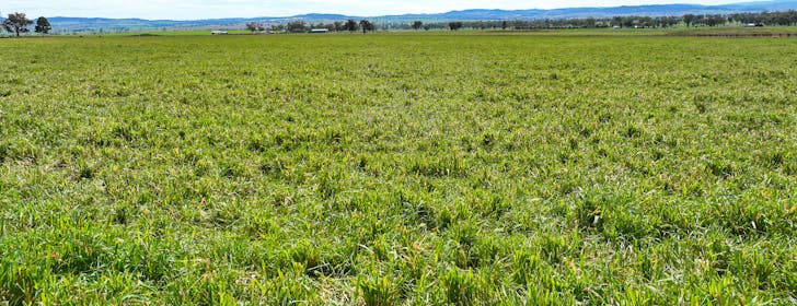 2363 Oxley Highway, Tamworth, NSW, 2340 - Image 1