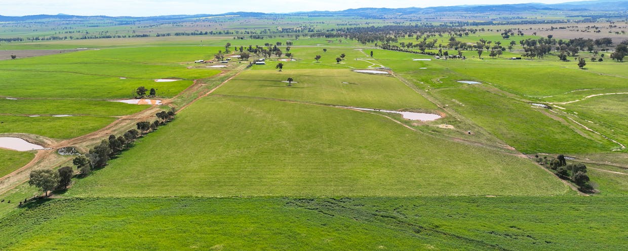 2363 Oxley Highway, Bective, NSW, 2340 - Image 6