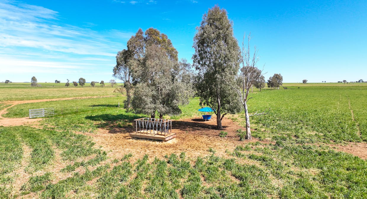 2363 Oxley Highway, Bective, NSW, 2340 - Image 8