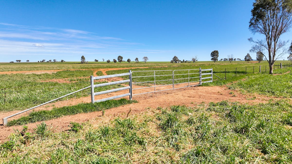 2363 Oxley Highway, Bective, NSW, 2340 - Image 9