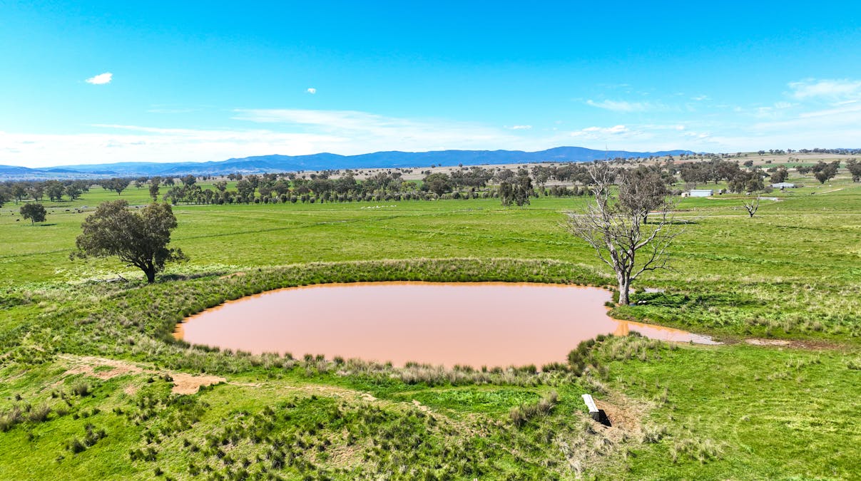 2363 Oxley Highway, Bective, NSW, 2340 - Image 5