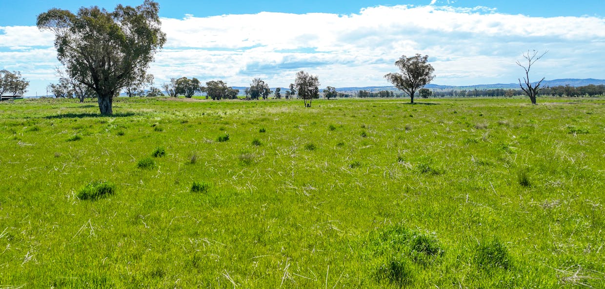 2363 Oxley Highway, Bective, NSW, 2340 - Image 12