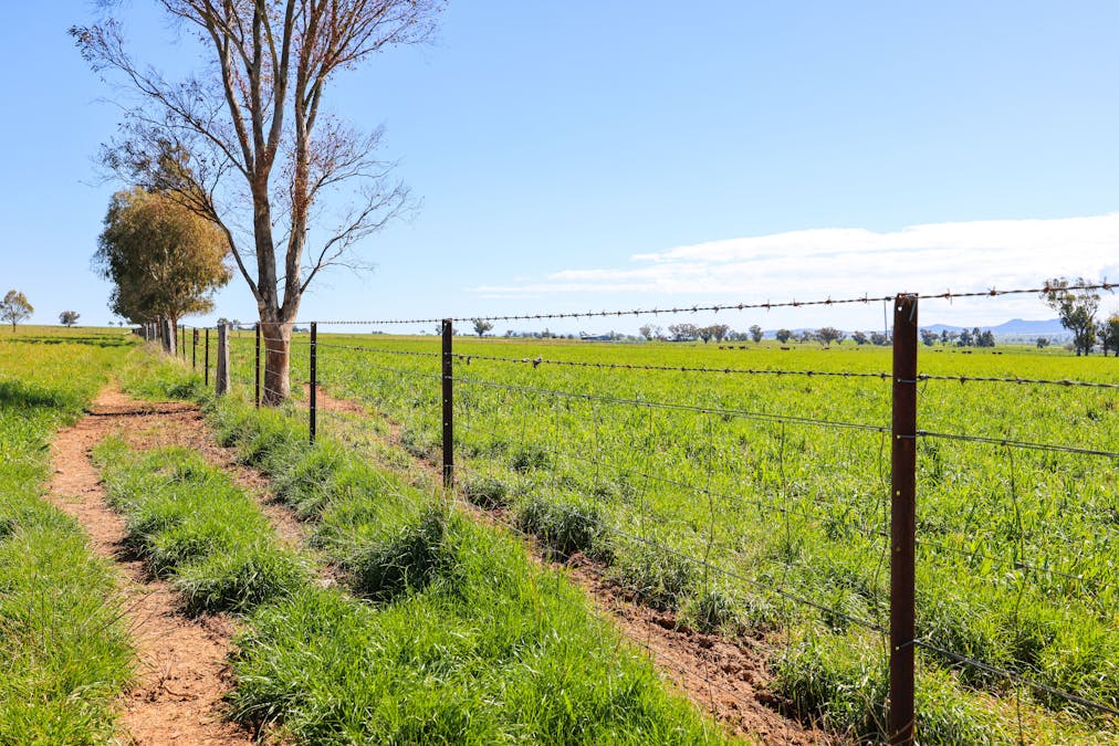 2363 Oxley Highway, Bective, NSW, 2340 - Image 10