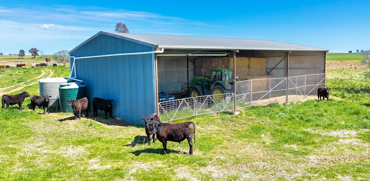 2363 Oxley Highway, Bective, NSW, 2340 - Image 4
