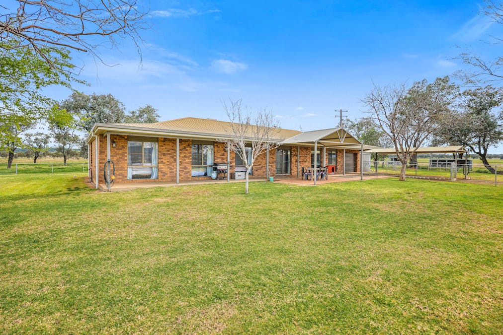 'Redcourt' 1501 Corella Road, Manilla, NSW, 2346 - Image 4