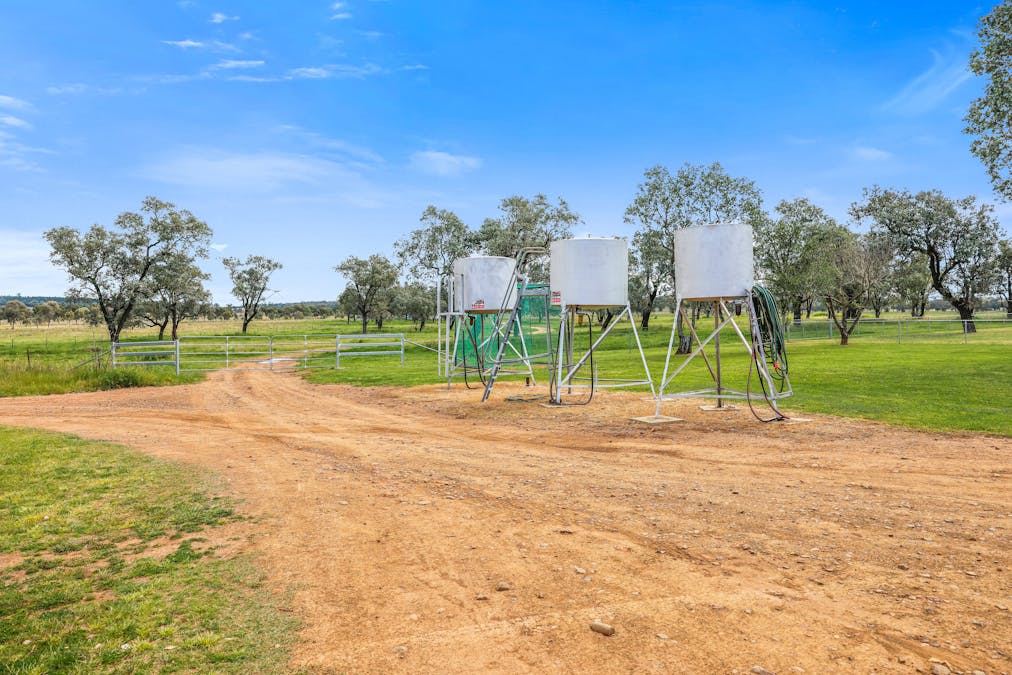 'Redcourt' 1501 Corella Road, Manilla, NSW, 2346 - Image 15