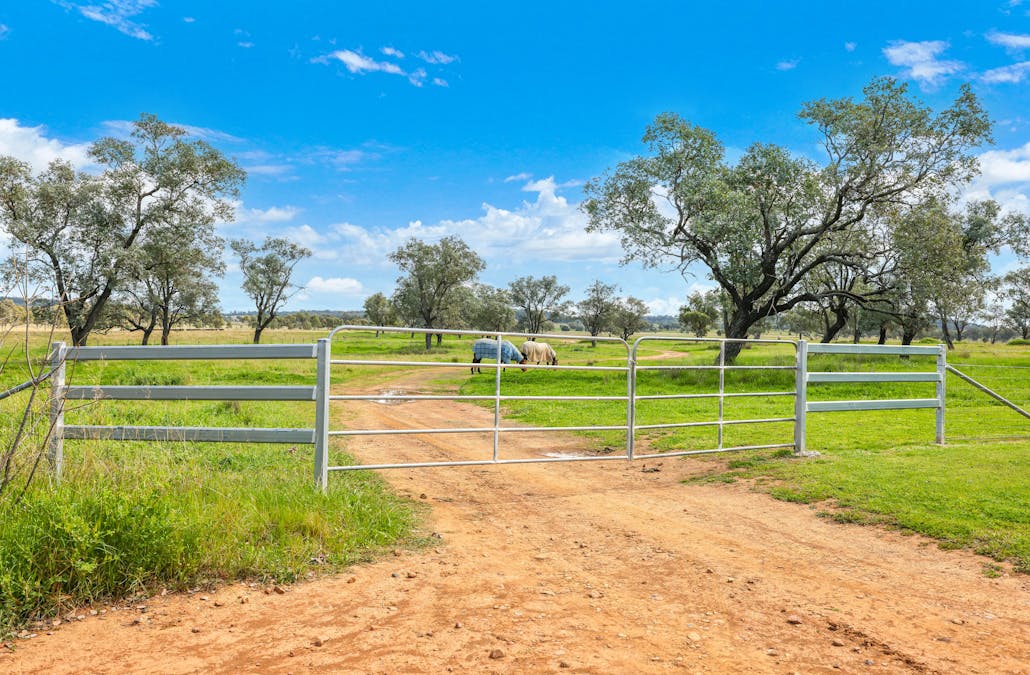'Redcourt' 1501 Corella Road, Manilla, NSW, 2346 - Image 19