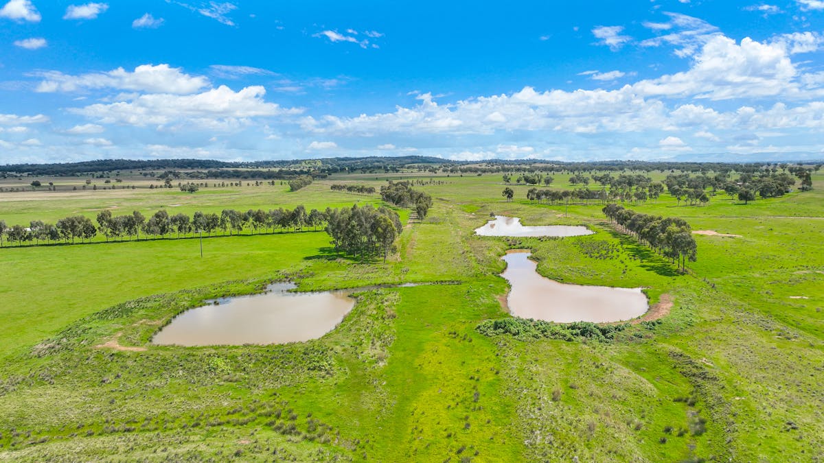 'Redcourt' 1501 Corella Road, Manilla, NSW, 2346 - Image 29