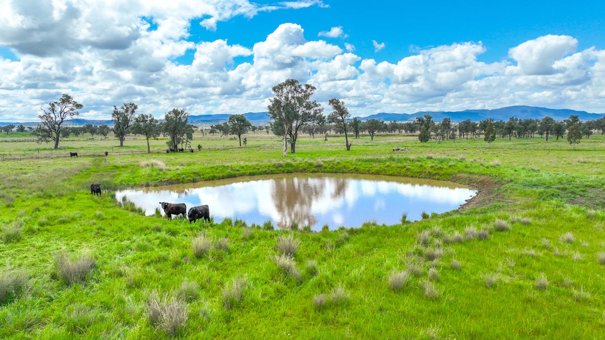 'Redcourt' 1501 Corella Road, Manilla, NSW, 2346 - Image 28