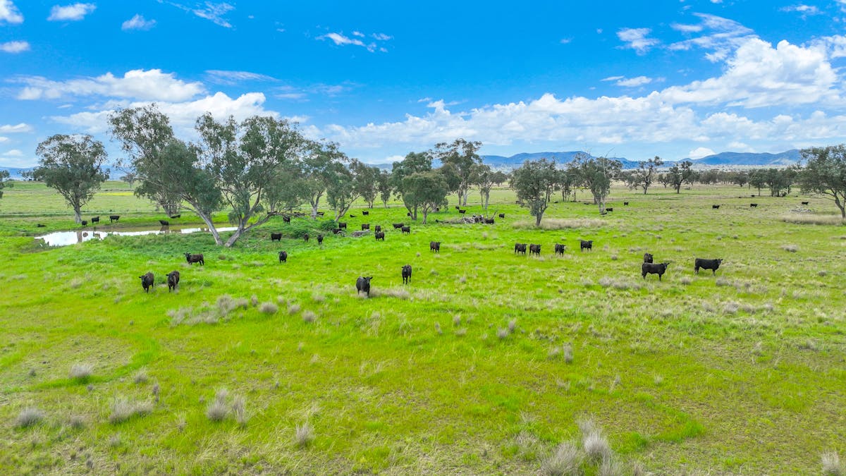 'Redcourt' 1501 Corella Road, Manilla, NSW, 2346 - Image 31