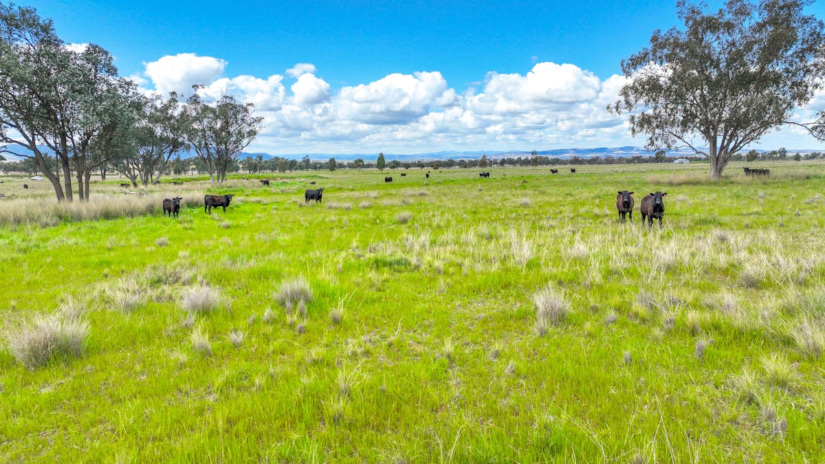 'Redcourt' 1501 Corella Road, Manilla, NSW, 2346 - Image 34