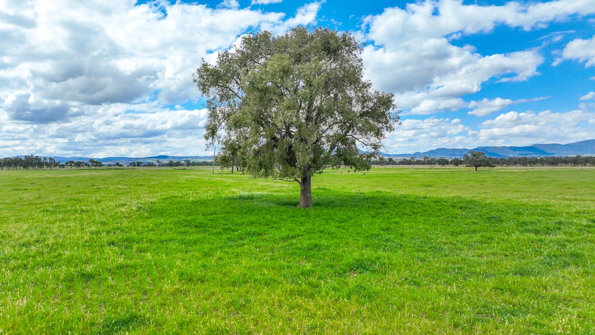 'Redcourt' 1501 Corella Road, Manilla, NSW, 2346 - Image 24