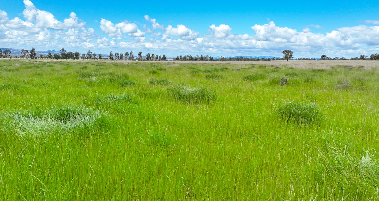 'Redcourt' 1501 Corella Road, Manilla, NSW, 2346 - Image 17