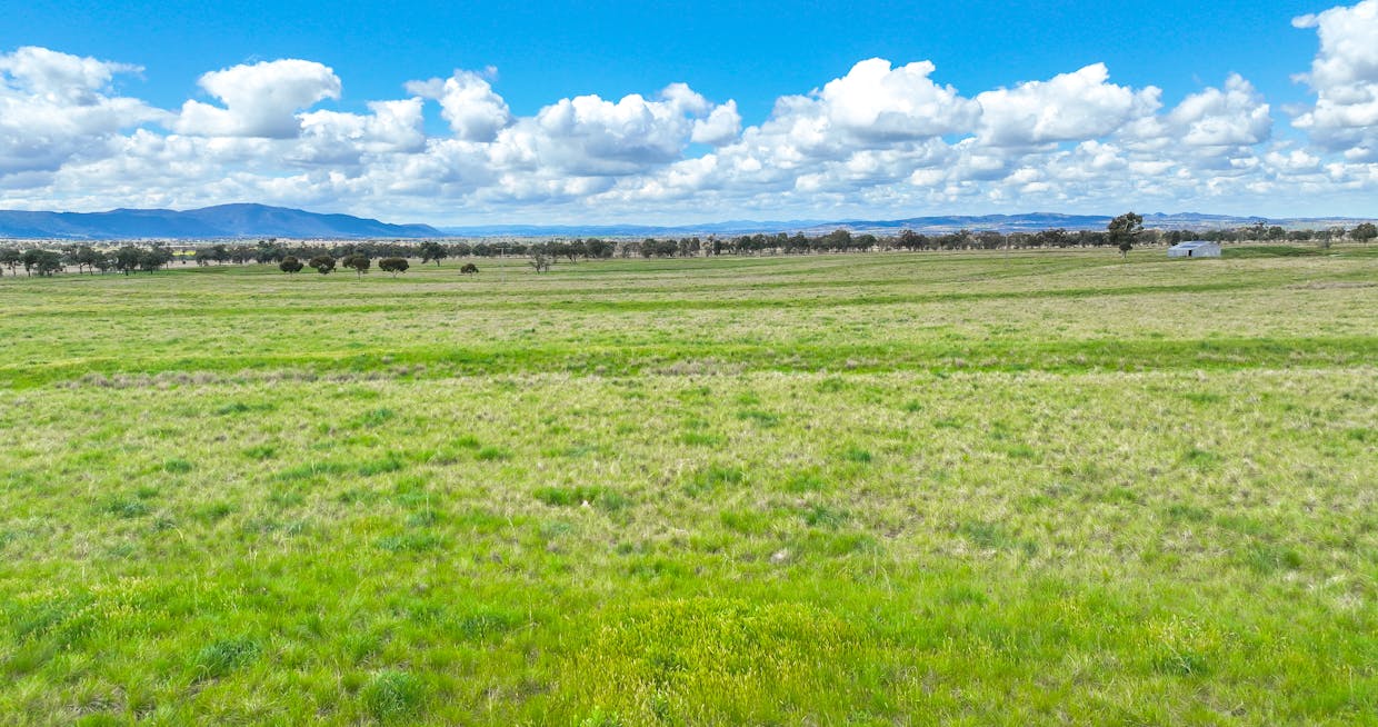 'Redcourt' 1501 Corella Road, Manilla, NSW, 2346 - Image 18