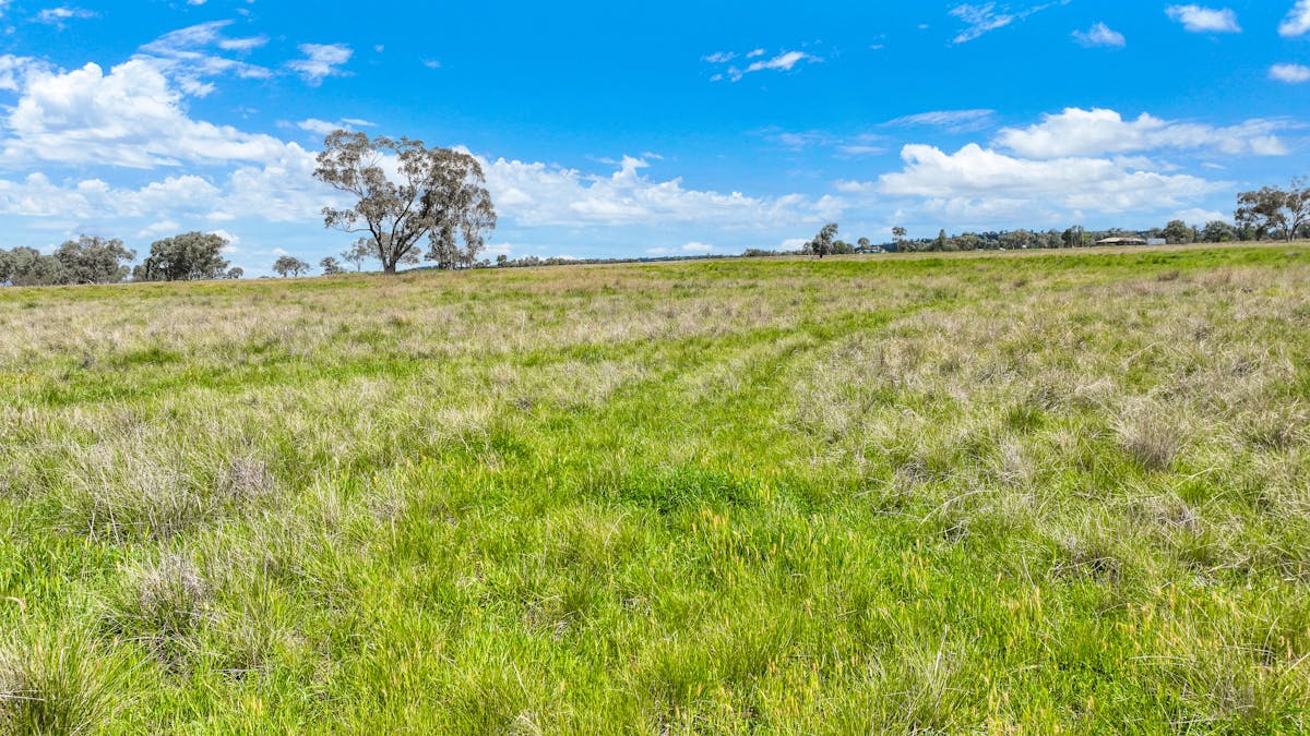 'Redcourt' 1501 Corella Road, Manilla, NSW, 2346 - Image 33
