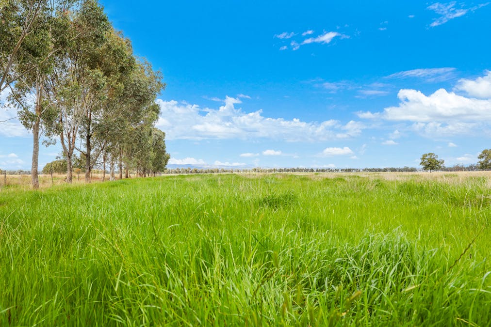 'Redcourt' 1501 Corella Road, Manilla, NSW, 2346 - Image 25