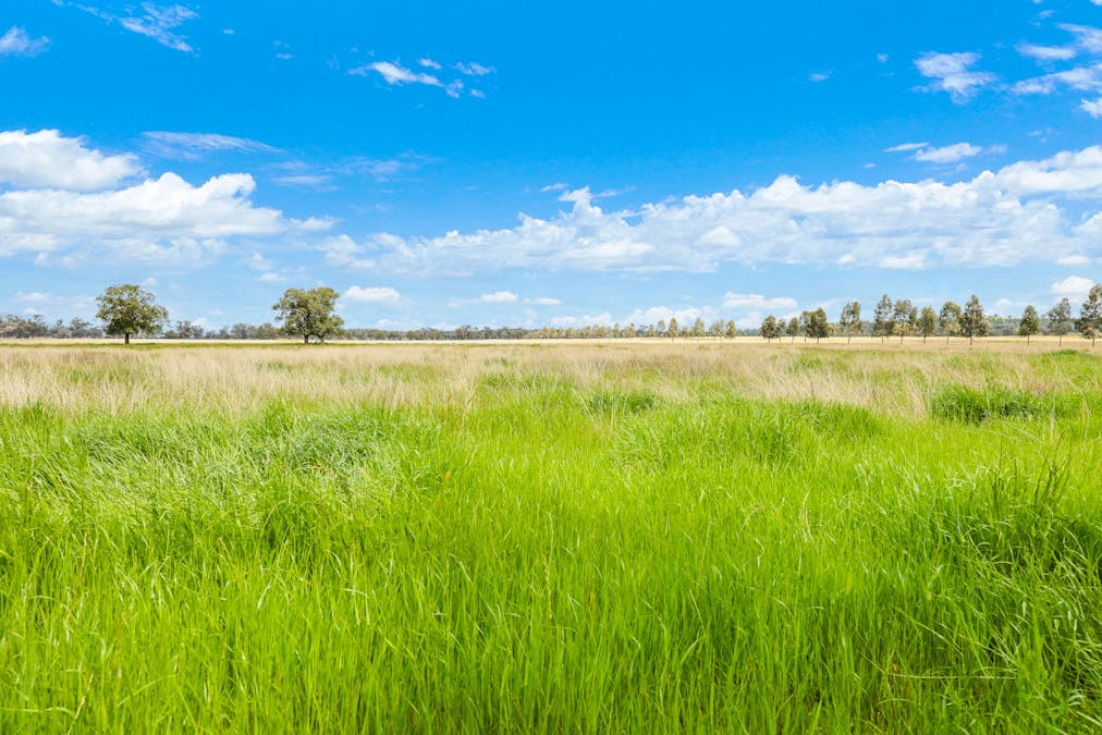 'Redcourt' 1501 Corella Road, Manilla, NSW, 2346 - Image 30