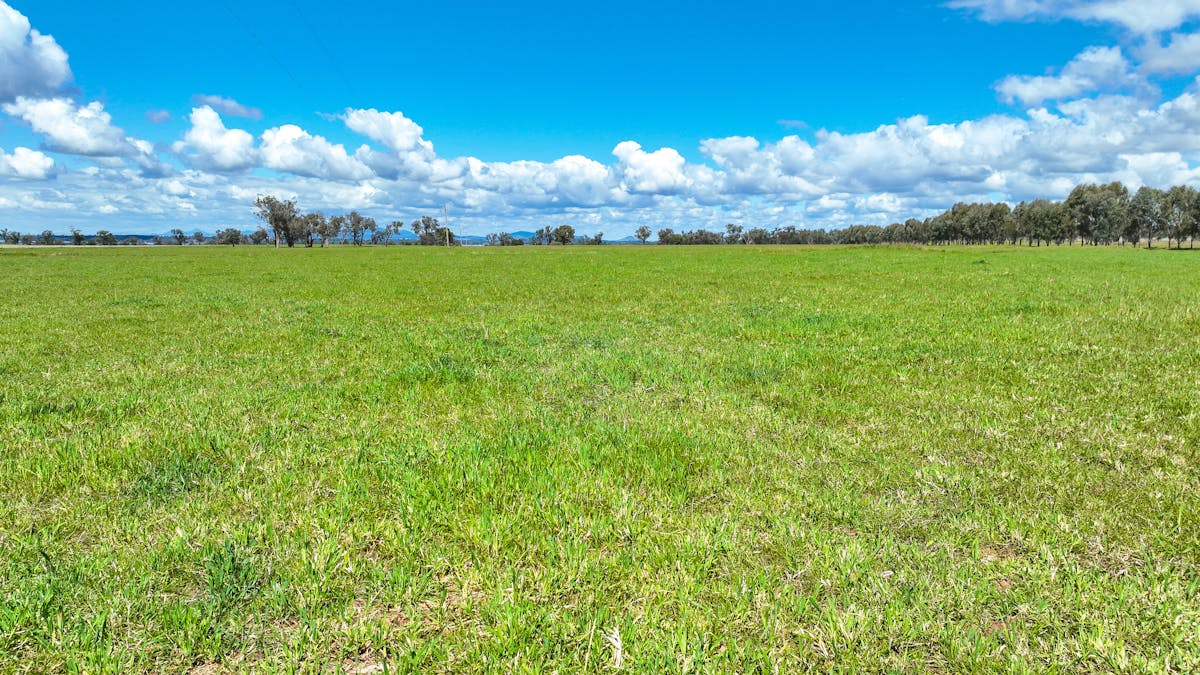 'Redcourt' 1501 Corella Road, Manilla, NSW, 2346 - Image 32