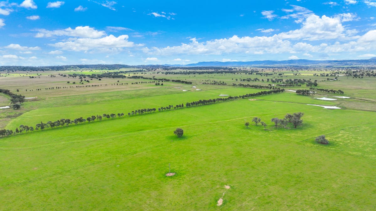 'Redcourt' 1501 Corella Road, Manilla, NSW, 2346 - Image 23