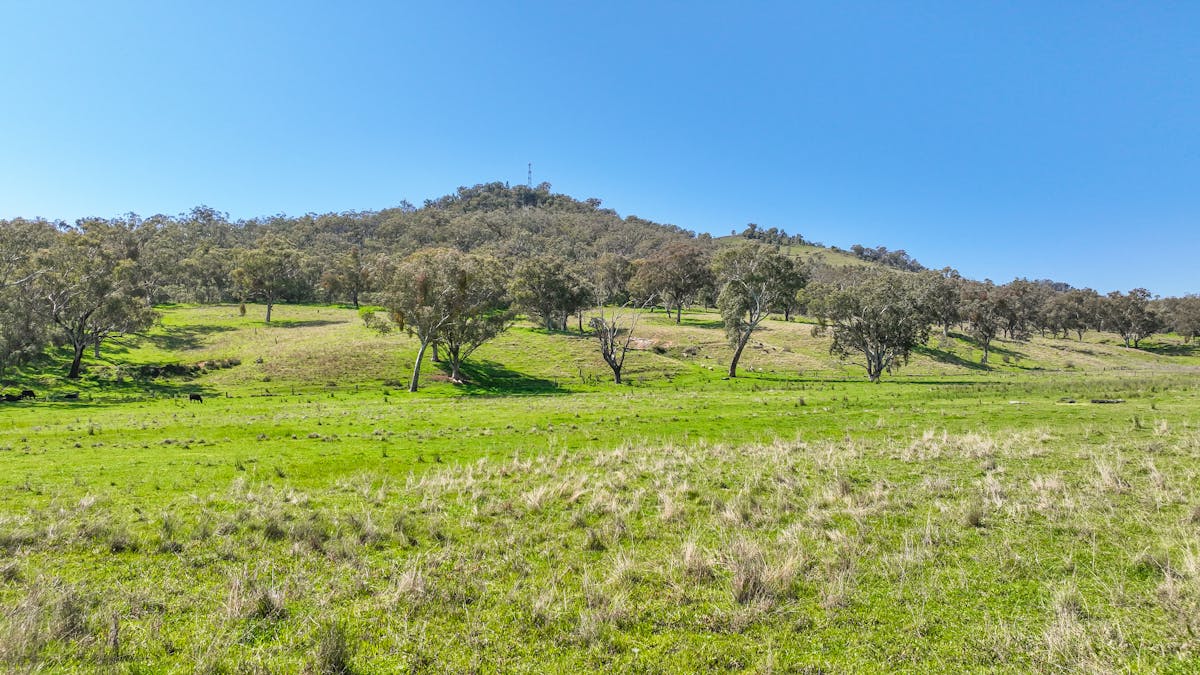 20 Duncan Street, Woolomin, NSW, 2340 - Image 2