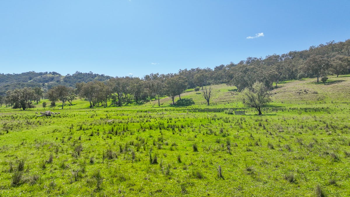 20 Duncan Street, Woolomin, NSW, 2340 - Image 4