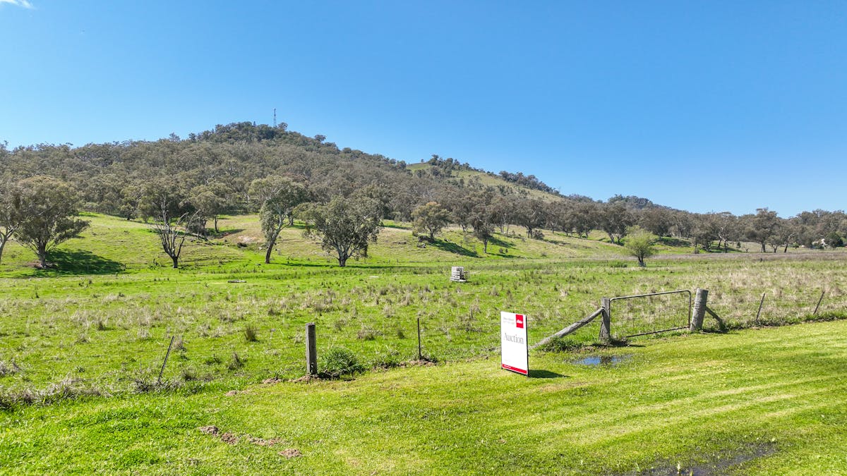 20 Duncan Street, Woolomin, NSW, 2340 - Image 6