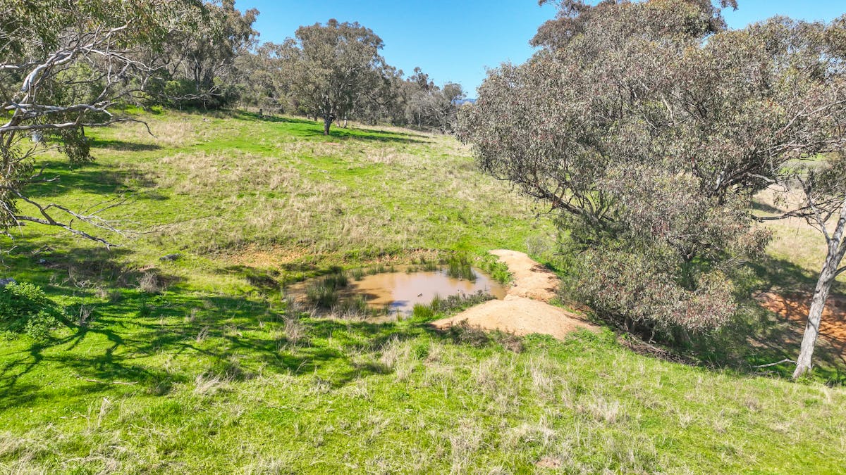 20 Duncan Street, Woolomin, NSW, 2340 - Image 7