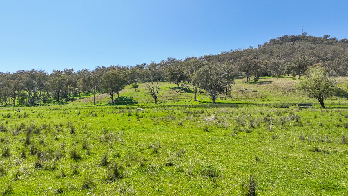 20 Duncan Street, Woolomin, NSW, 2340 - Image 8