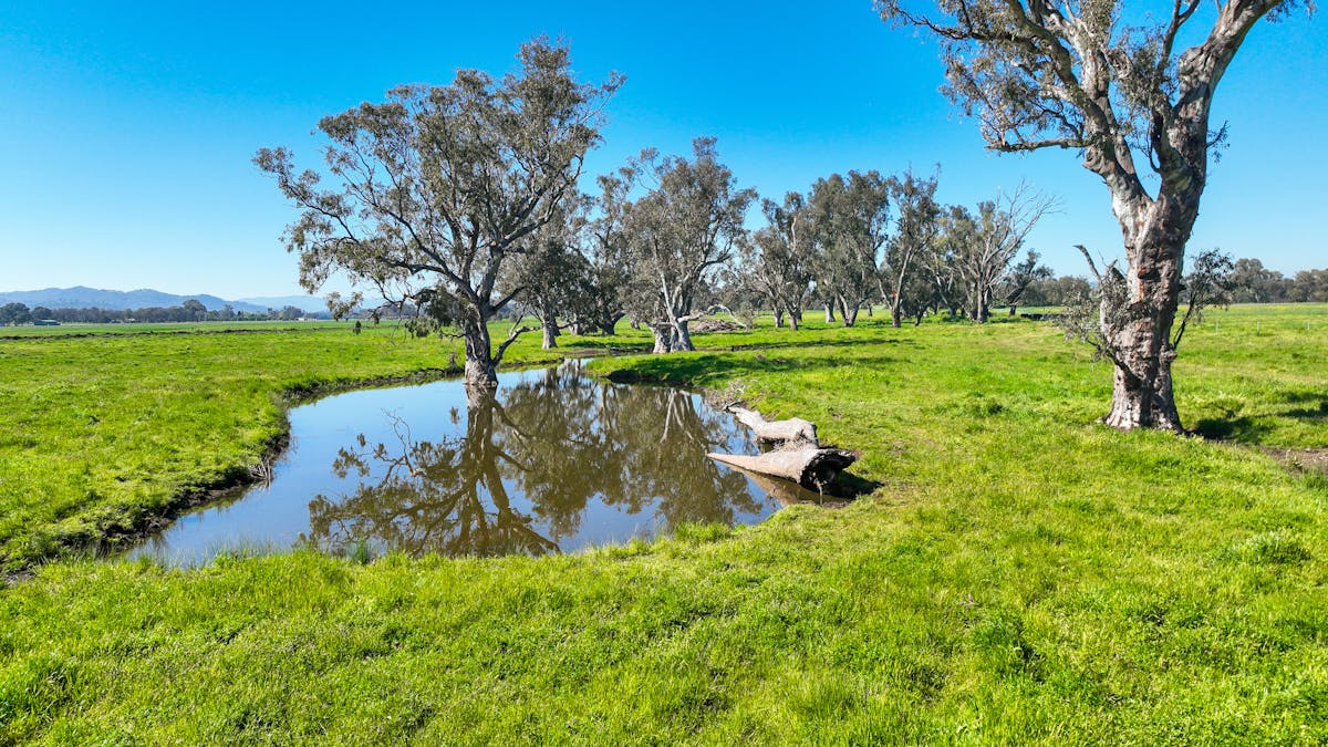 418 Nundle Road, Tamworth, NSW, 2340 - Image 17