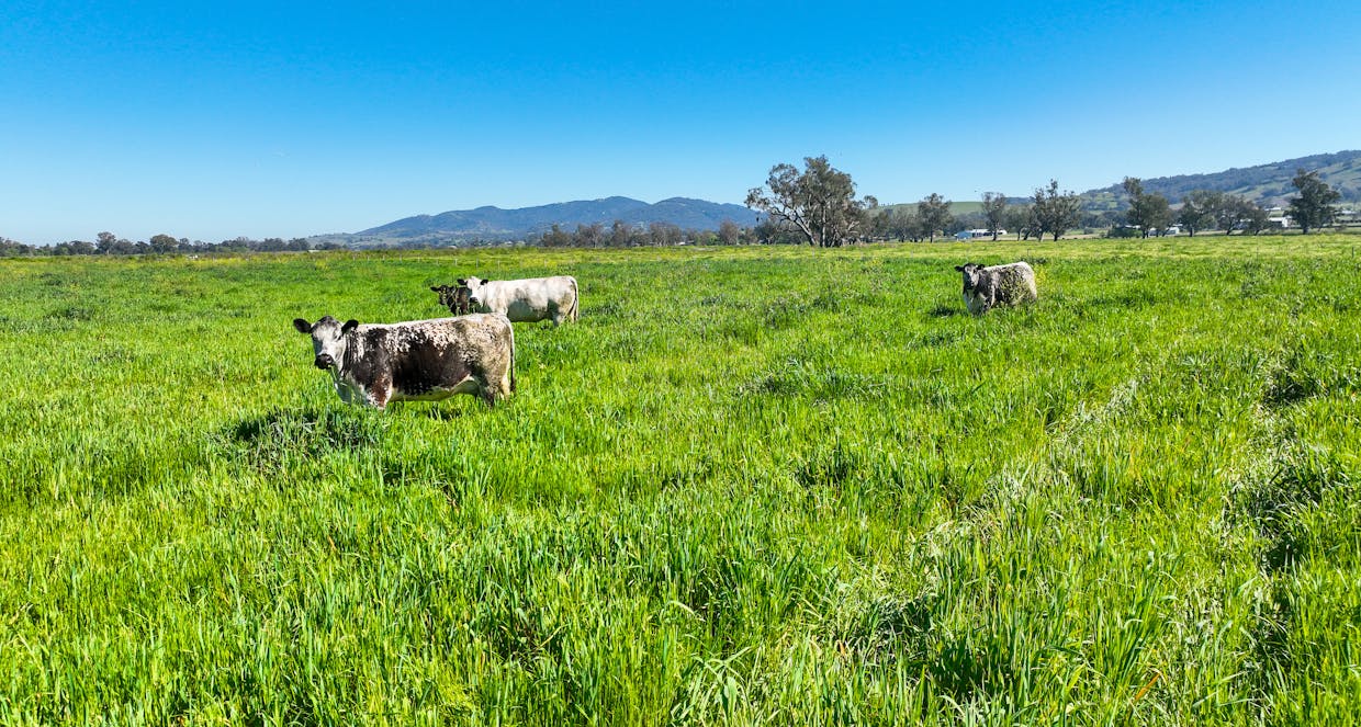 418 Nundle Road, Tamworth, NSW, 2340 - Image 19
