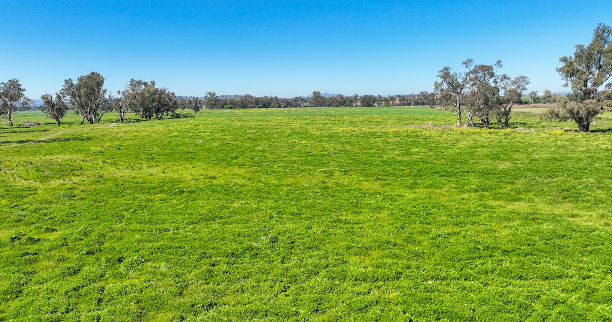 418 Nundle Road, Tamworth, NSW, 2340 - Image 21
