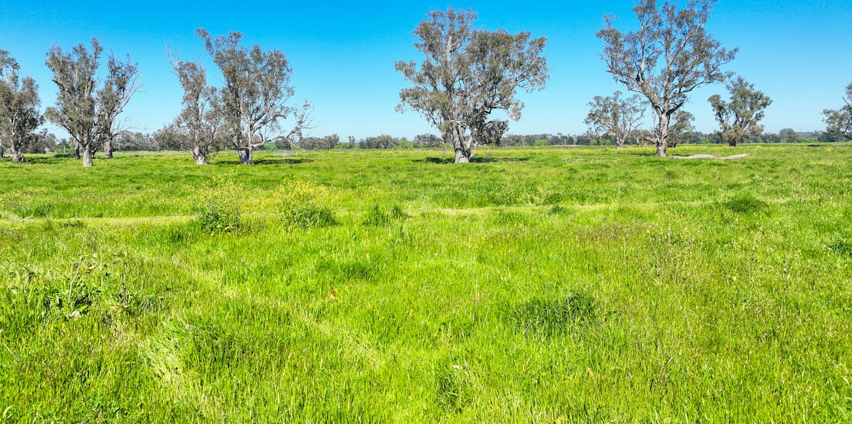 418 Nundle Road, Tamworth, NSW, 2340 - Image 22