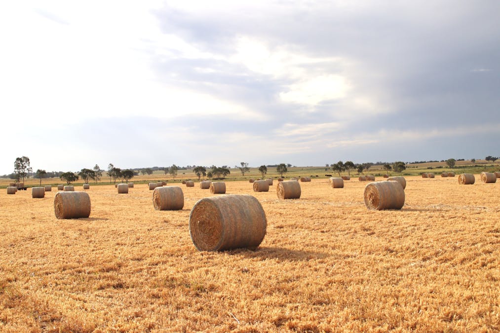 166 Old Winton Road, Tamworth, NSW, 2340 - Image 20