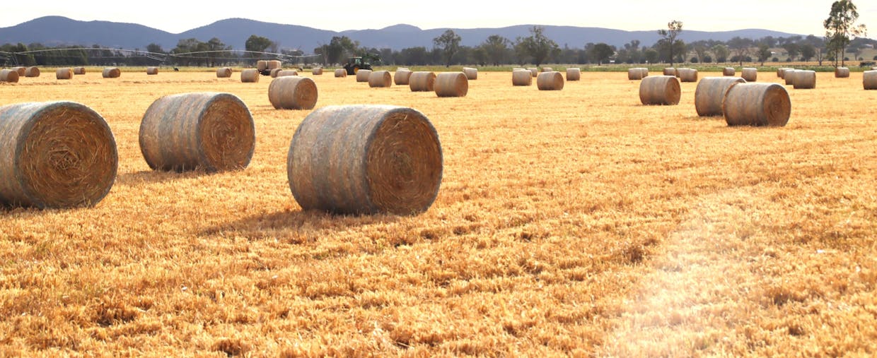 166 Old Winton Road, Tamworth, NSW, 2340 - Image 19