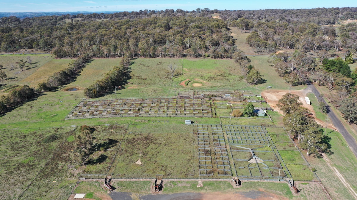 2/16 - 25 Saleyards Road, Walcha, NSW, 2354 - Image 2