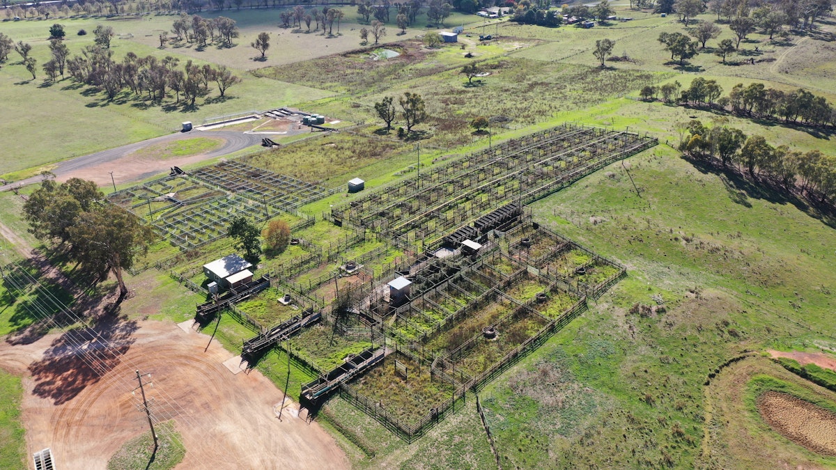 1/16 - 25 Saleyards Road, Walcha, NSW, 2354 - Image 1