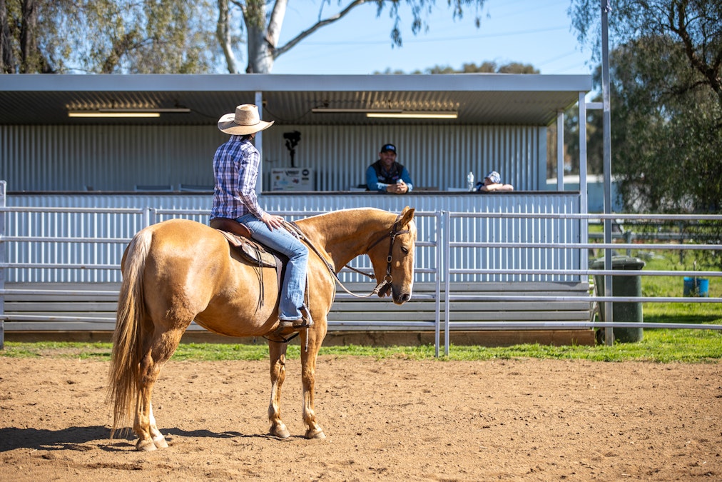 14588 New England Highway, Tamworth, NSW, 2340 - Image 13