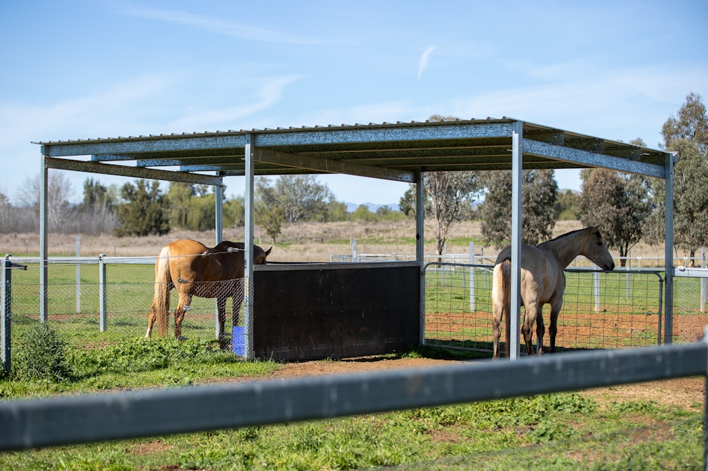 14588 New England Highway, Tamworth, NSW, 2340 - Image 18