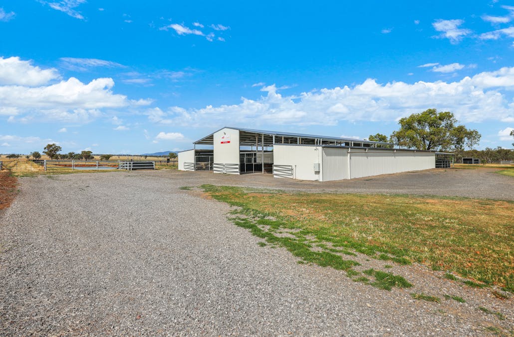 337 New Winton Road, Tamworth, NSW, 2340 - Image 12