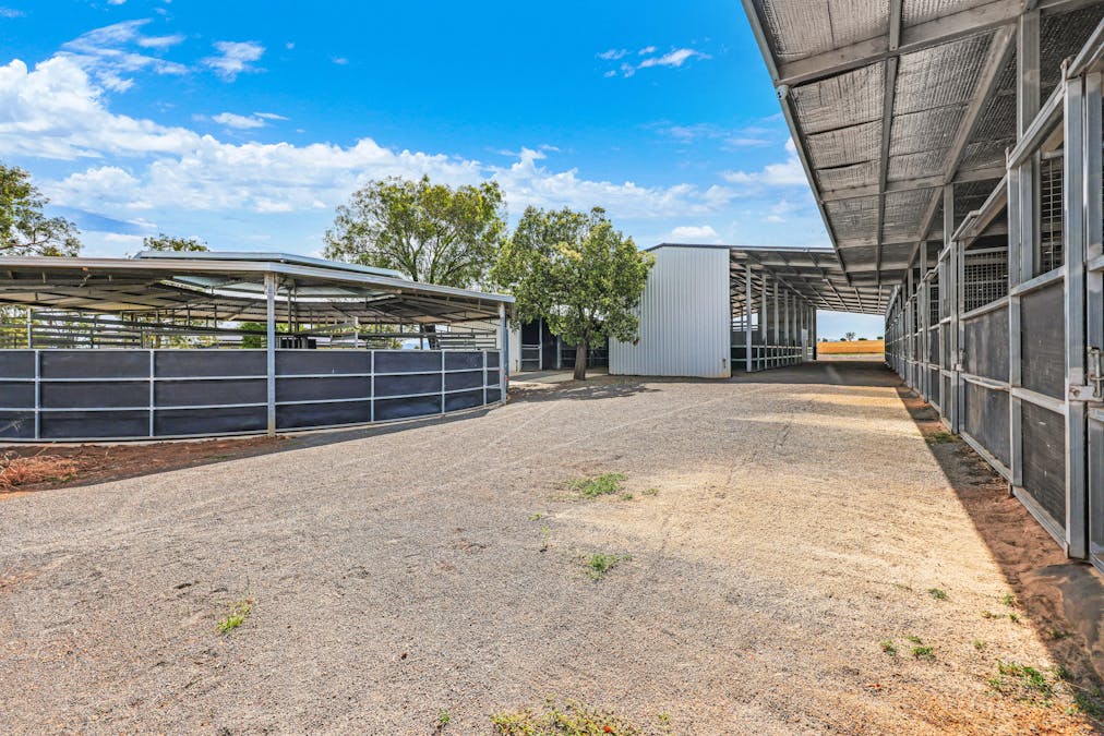 337 New Winton Road, Tamworth, NSW, 2340 - Image 17