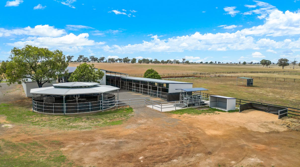 337 New Winton Road, Tamworth, NSW, 2340 - Image 21